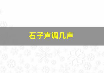 石子声调几声