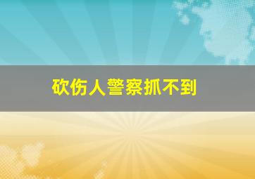 砍伤人警察抓不到