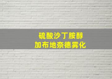 硫酸沙丁胺醇加布地奈德雾化