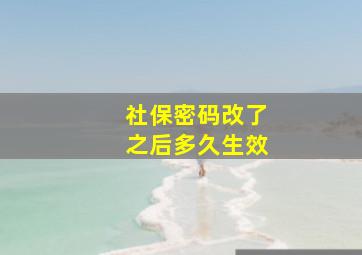 社保密码改了之后多久生效