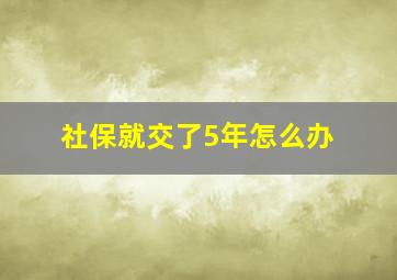 社保就交了5年怎么办