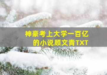 神豪考上大学一百亿的小说顾文青TXT