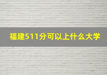 福建511分可以上什么大学