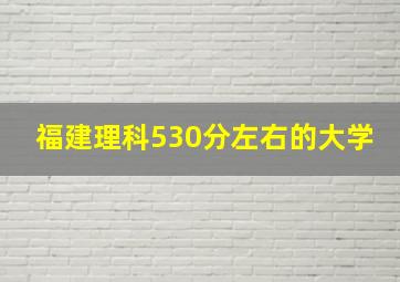 福建理科530分左右的大学