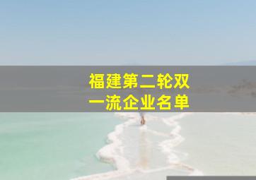 福建第二轮双一流企业名单