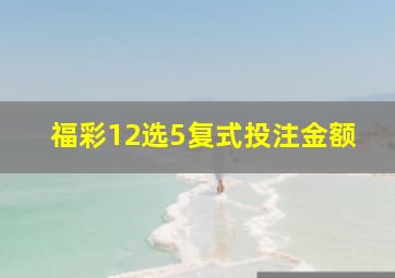 福彩12选5复式投注金额