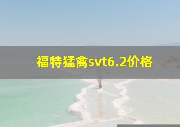 福特猛禽svt6.2价格