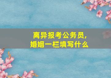 离异报考公务员,婚姻一栏填写什么