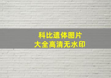 科比遗体图片大全高清无水印