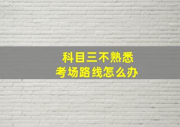 科目三不熟悉考场路线怎么办