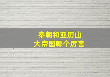 秦朝和亚历山大帝国哪个厉害