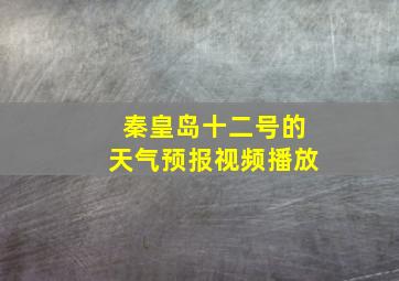 秦皇岛十二号的天气预报视频播放