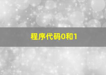 程序代码0和1