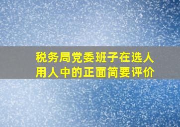 税务局党委班子在选人用人中的正面简要评价