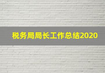 税务局局长工作总结2020