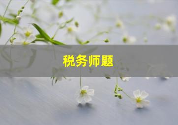 税务师题