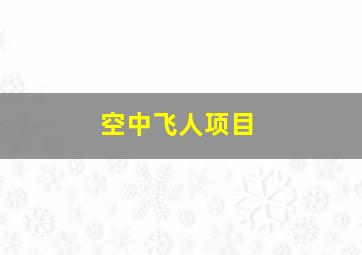 空中飞人项目