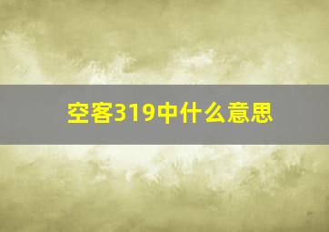 空客319中什么意思