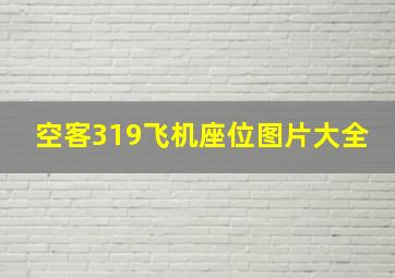 空客319飞机座位图片大全