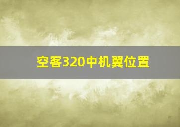 空客320中机翼位置