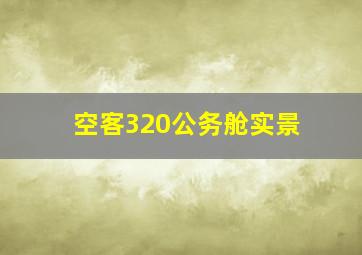 空客320公务舱实景