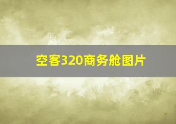 空客320商务舱图片