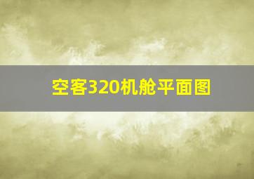 空客320机舱平面图