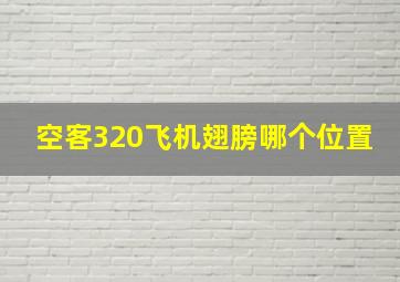 空客320飞机翅膀哪个位置