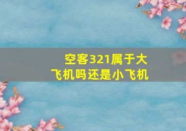 空客321属于大飞机吗还是小飞机