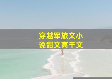 穿越军旅文小说甜文高干文