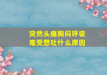 突然头痛胸闷呼吸难受想吐什么原因