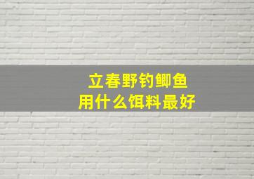 立春野钓鲫鱼用什么饵料最好