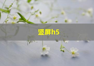 竖屏h5