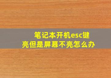 笔记本开机esc键亮但是屏幕不亮怎么办