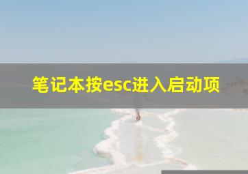 笔记本按esc进入启动项