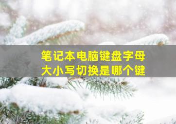 笔记本电脑键盘字母大小写切换是哪个键