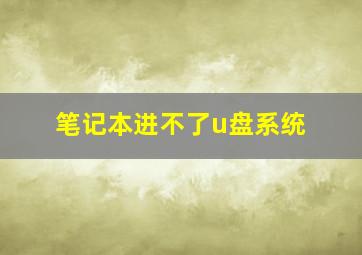 笔记本进不了u盘系统