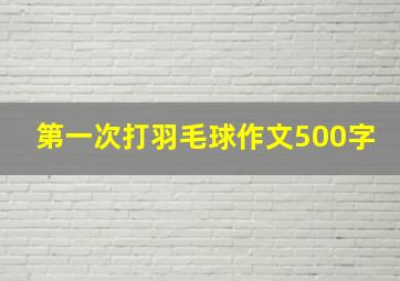 第一次打羽毛球作文500字