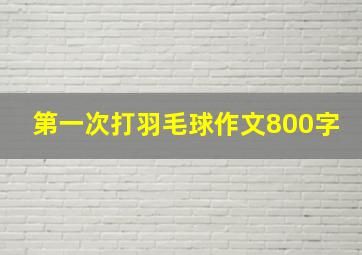 第一次打羽毛球作文800字