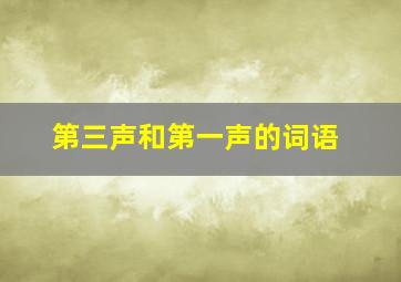 第三声和第一声的词语