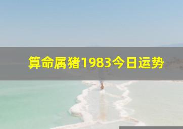 算命属猪1983今日运势