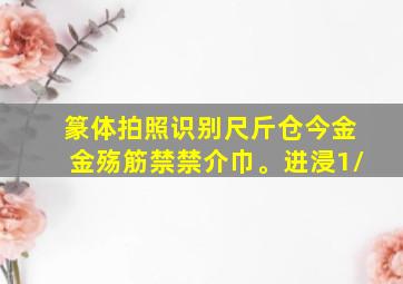 篆体拍照识别尺斤仓今金金殇筋禁禁介巾。进浸1/