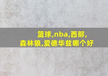 篮球,nba,西部,森林狼,爱德华兹哪个好