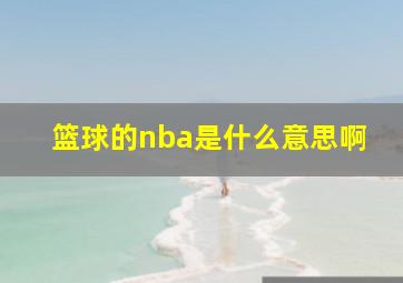 篮球的nba是什么意思啊