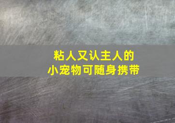 粘人又认主人的小宠物可随身携带