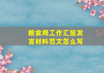 粮食局工作汇报发言材料范文怎么写