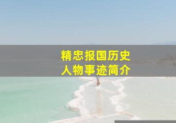 精忠报国历史人物事迹简介