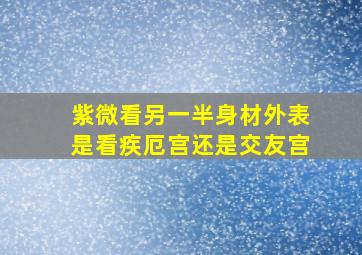 紫微看另一半身材外表是看疾厄宫还是交友宫