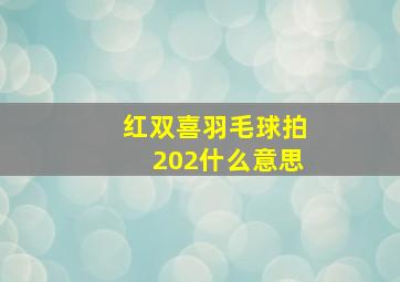 红双喜羽毛球拍202什么意思