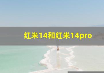 红米14和红米14pro